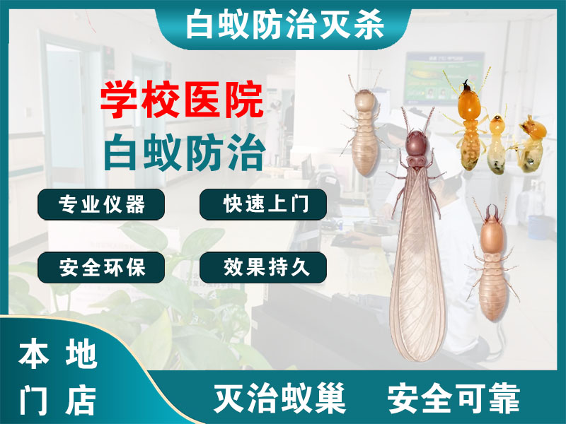 余姚学校医院白蚁防治