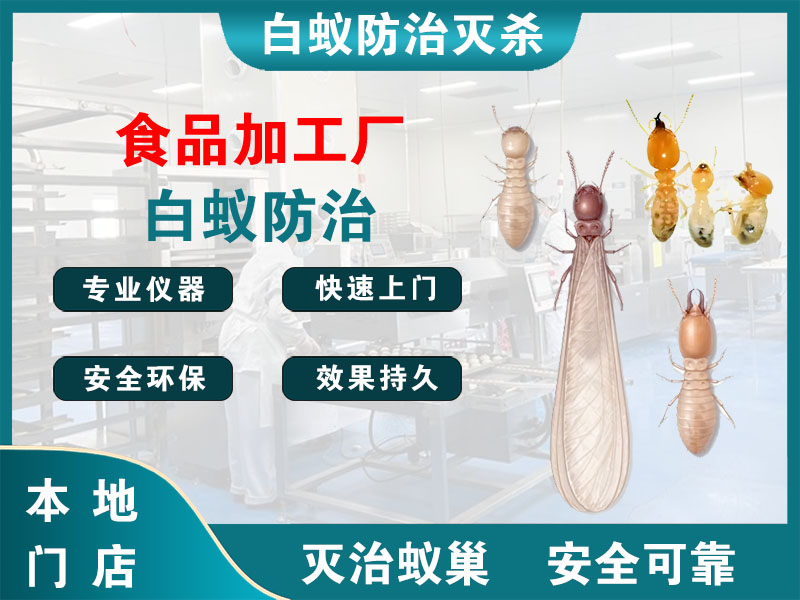 余姚食品加工厂白蚁防治