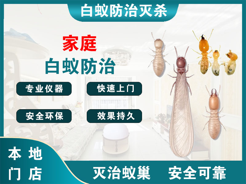 余姚家庭白蚁防治