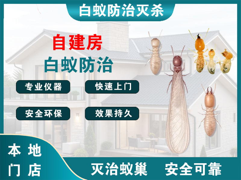 余姚自建房白蚁防治