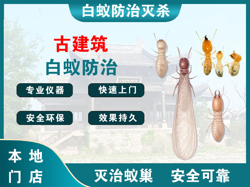余姚古建筑白蚁防治