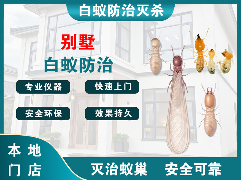 余姚别墅白蚁防治