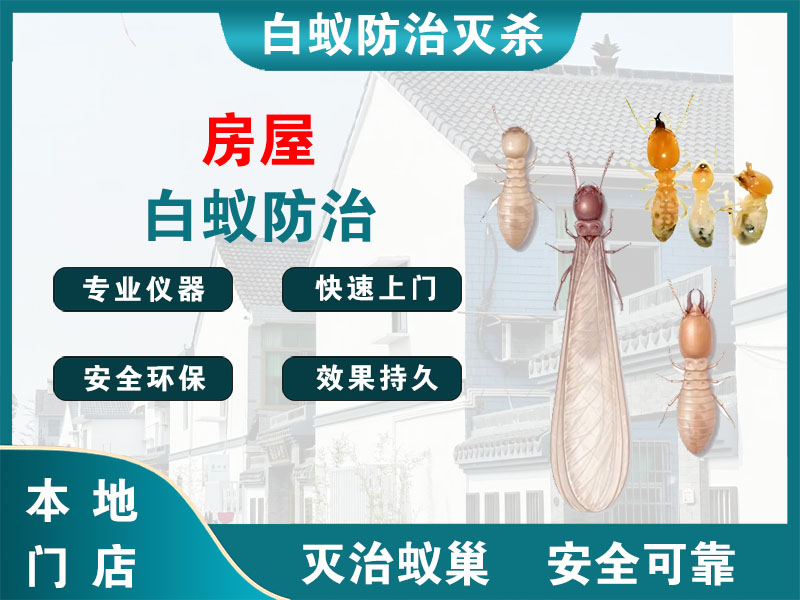 余姚房屋白蚁防治